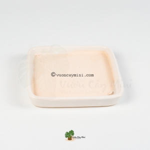 Combo đĩa vuông lót chậu gốm sứ trồng cây - Vườn Cây Mini